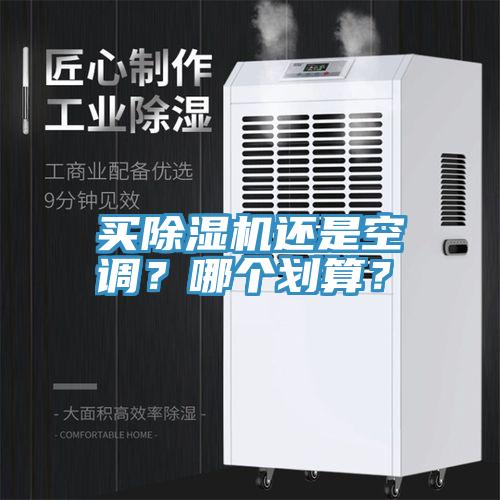 買除濕機還是空調？哪個劃算？