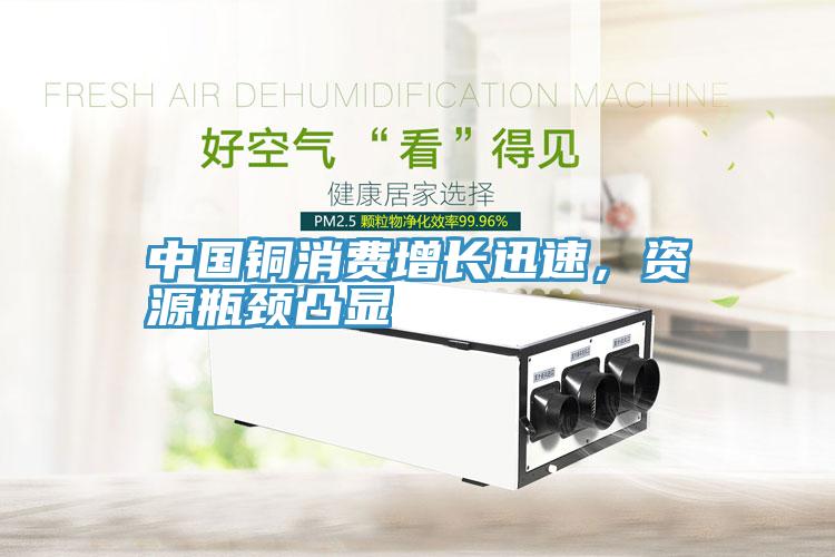 中國銅消費增長迅速，資源瓶頸凸顯