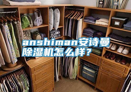 anshiman安詩曼除濕機怎么樣？