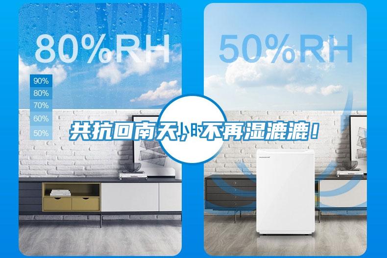 共抗回南天，不再濕漉漉！