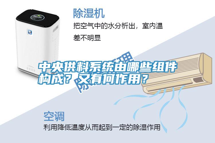 中央供料系統(tǒng)由哪些組件構(gòu)成？又有何作用？