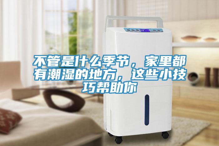 不管是什么季節(jié)，家里都有潮濕的地方，這些小技巧幫助你