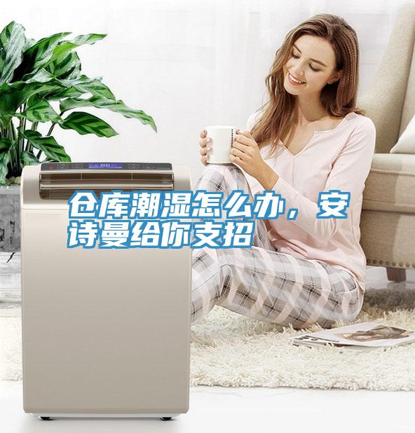 倉庫潮濕怎么辦，安詩曼給你支招