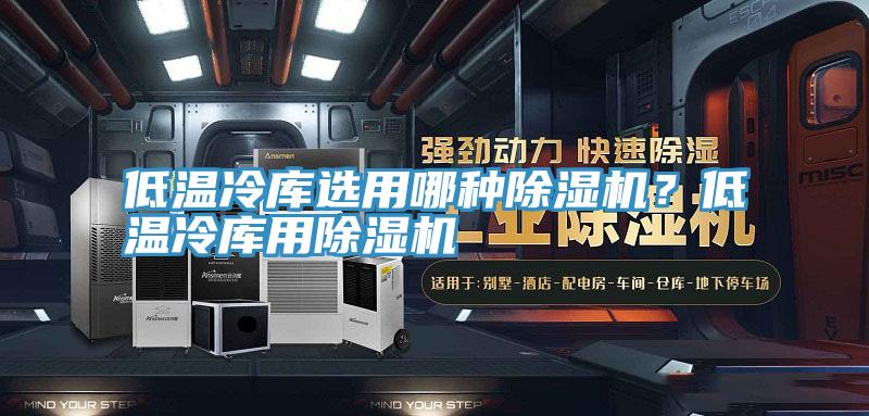 低溫冷庫選用哪種除濕機？低溫冷庫用除濕機