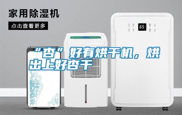 “杏”好有烘干機(jī)，烘出上好杏干