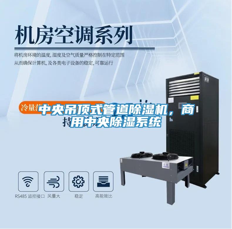 中央吊頂式管道除濕機，商用中央除濕系統(tǒng)