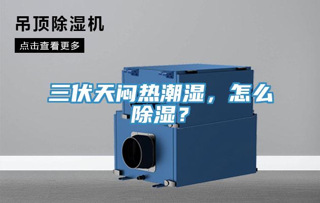 三伏天悶熱潮濕，怎么除濕？