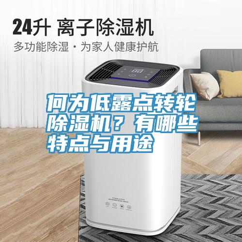 何為低露點(diǎn)轉(zhuǎn)輪除濕機(jī)？有哪些特點(diǎn)與用途