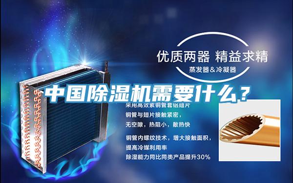 中國除濕機需要什么？