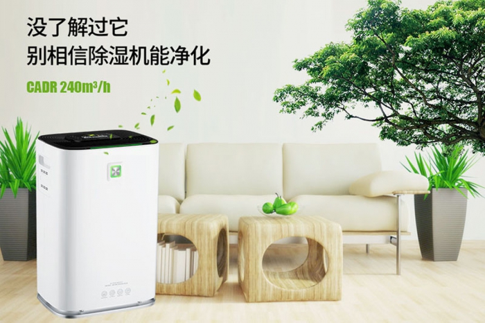 一到回南天狗狗就感冒+皮膚病，怎么辦？