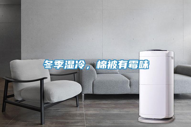 冬季濕冷，棉被有霉味