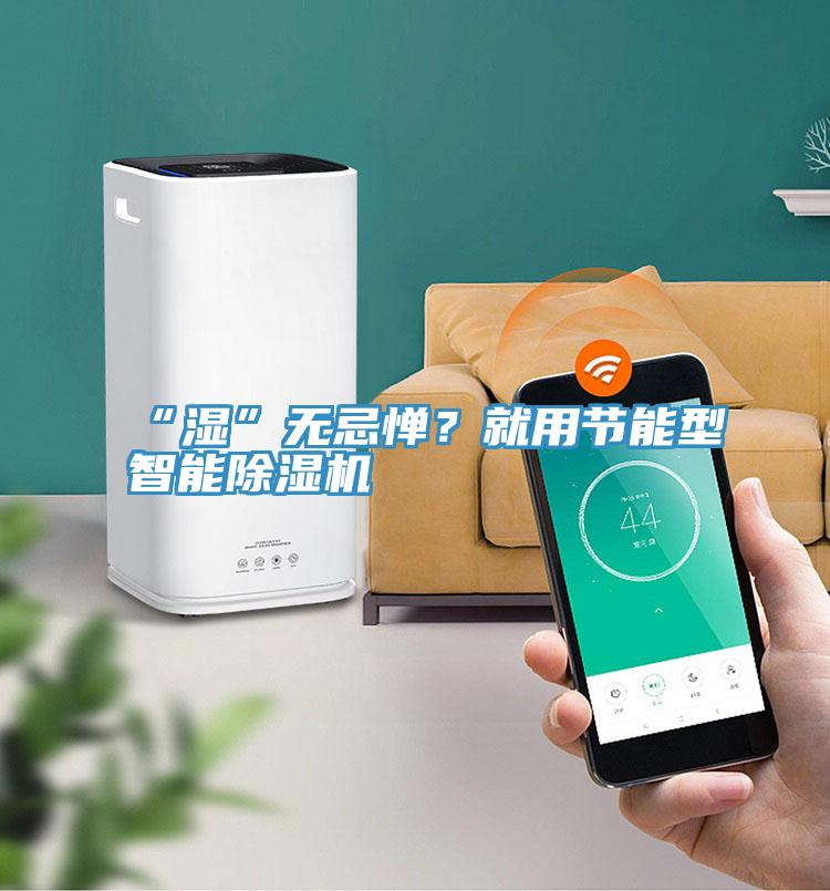 “濕”無忌憚？就用節(jié)能型智能除濕機(jī)