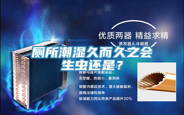 廁所潮濕久而久之會(huì)生蟲(chóng)還是？
