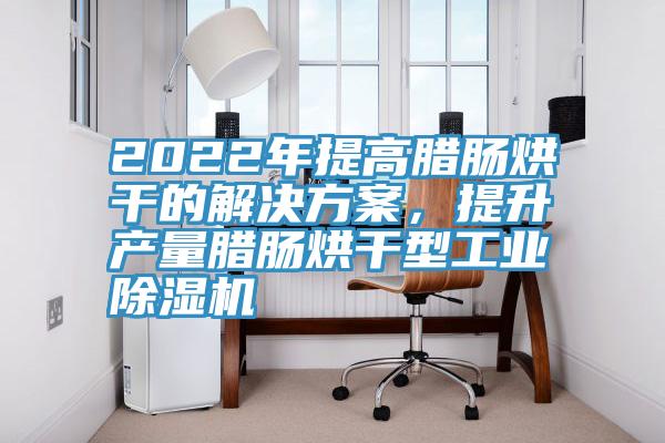 2022年提高臘腸烘干的解決方案，提升產(chǎn)量臘腸烘干型工業(yè)除濕機(jī)