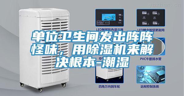 單位衛(wèi)生間發(fā)出陣陣怪味，用除濕機(jī)來解決根本-潮濕