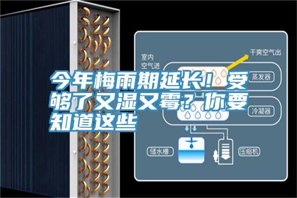 今年梅雨期延長(zhǎng)！受夠了又濕又霉？你要知道這些