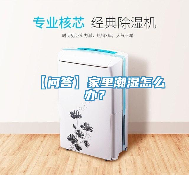 【問(wèn)答】家里潮濕怎么辦？