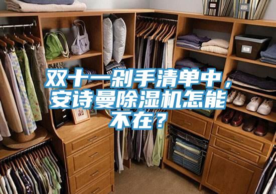 雙十一剁手清單中，安詩曼除濕機怎能不在？
