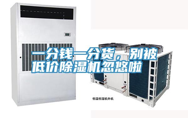 一分錢一分貨，別被低價除濕機忽悠啦