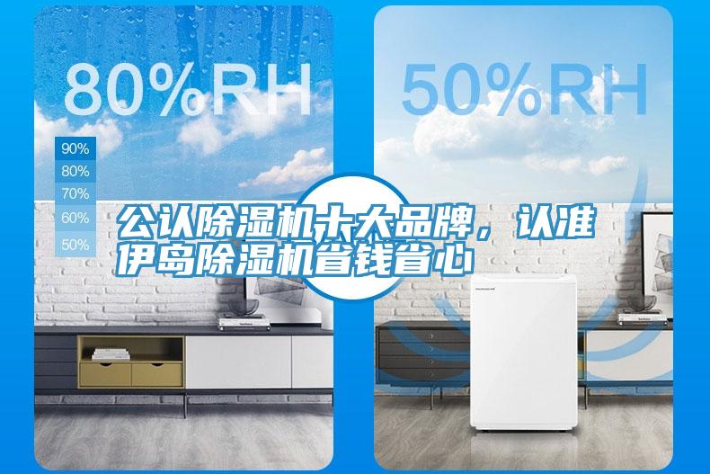 公認除濕機十大品牌，認準伊島除濕機省錢省心