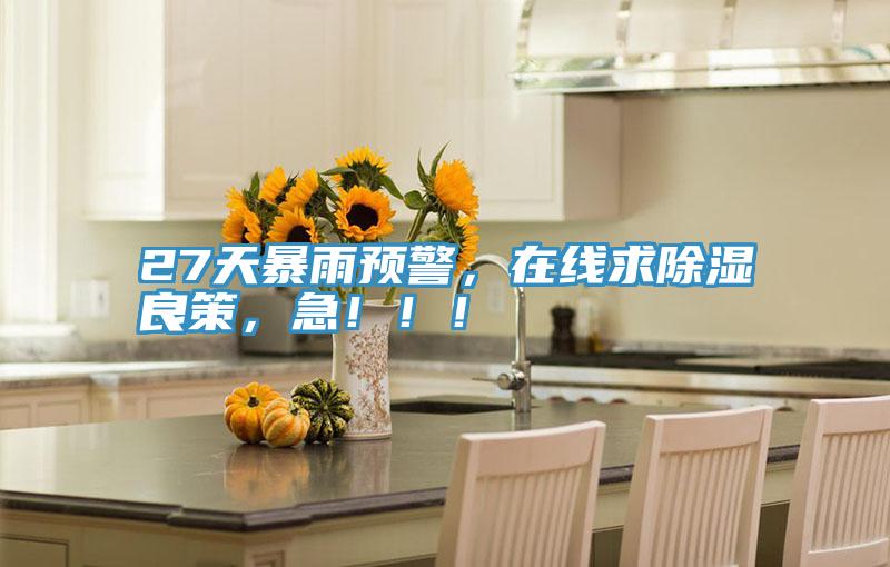 27天暴雨預(yù)警，在線求除濕良策，急?。?！