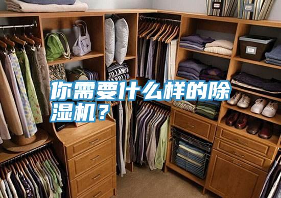 你需要什么樣的除濕機(jī)？