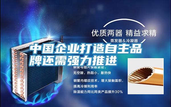 中國企業(yè)打造自主品牌還需強力推進(jìn)