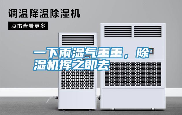 一下雨濕氣重重，除濕機(jī)揮之即去