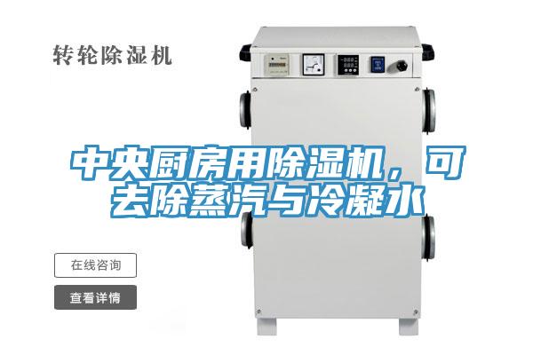 中央廚房用除濕機，可去除蒸汽與冷凝水