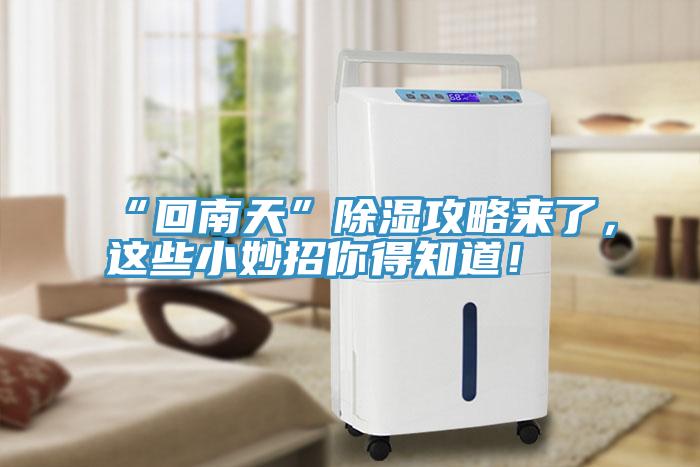 “回南天”除濕攻略來了，這些小妙招你得知道！