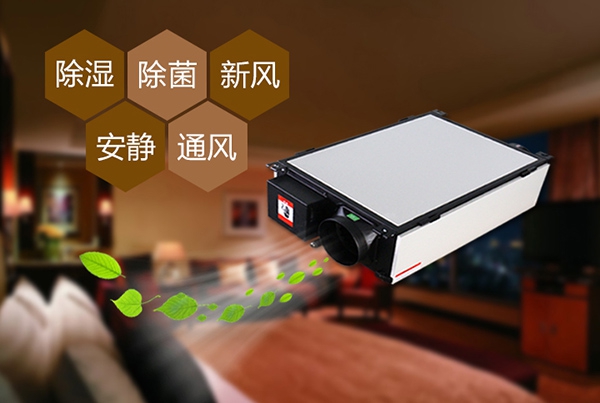 為什么冷庫除濕機會出現結霜的情況？