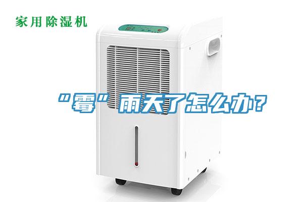 “霉”雨天了怎么辦？