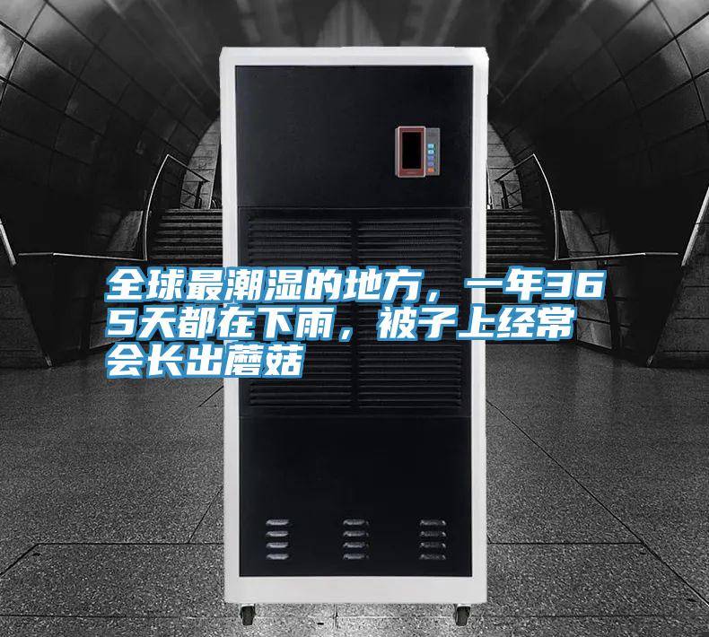 全球最潮濕的地方，一年365天都在下雨，被子上經(jīng)常會(huì)長出蘑菇