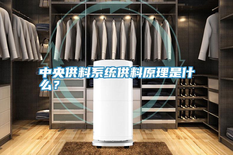 中央供料系統(tǒng)供料原理是什么？