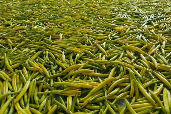無硫金針菜烘干如何保持品相？不發(fā)黑？_除濕機廠家
