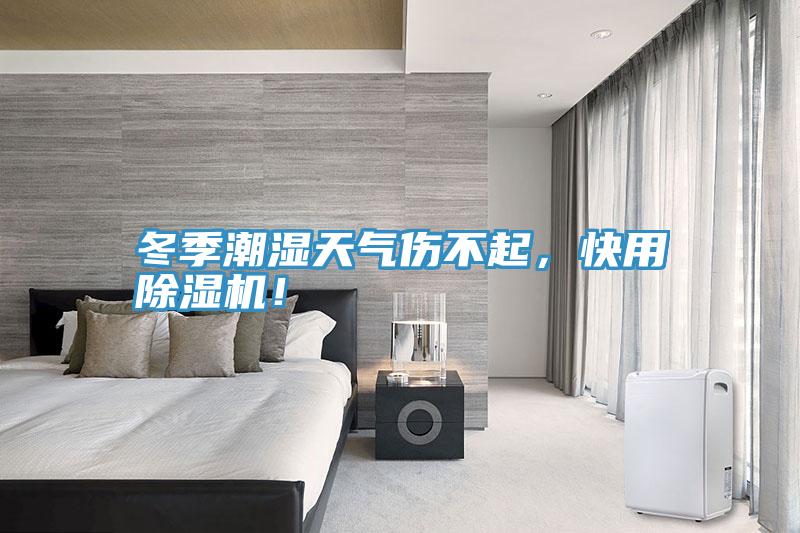 冬季潮濕天氣傷不起，快用除濕機！