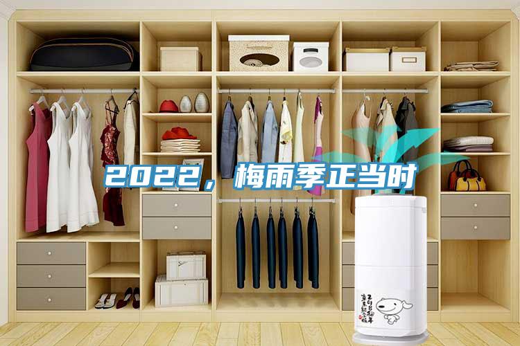 2022，梅雨季正當時