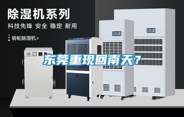 東莞重現(xiàn)回南天？
