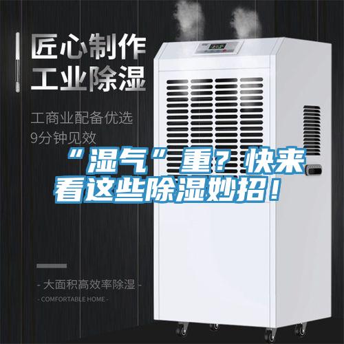 “濕氣”重？快來看這些除濕妙招！
