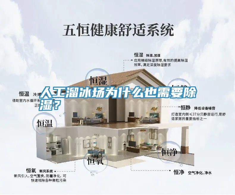 人工溜冰場為什么也需要除濕？
