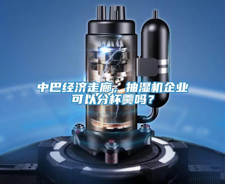 中巴經(jīng)濟走廊，抽濕機企業(yè)可以分杯羹嗎？