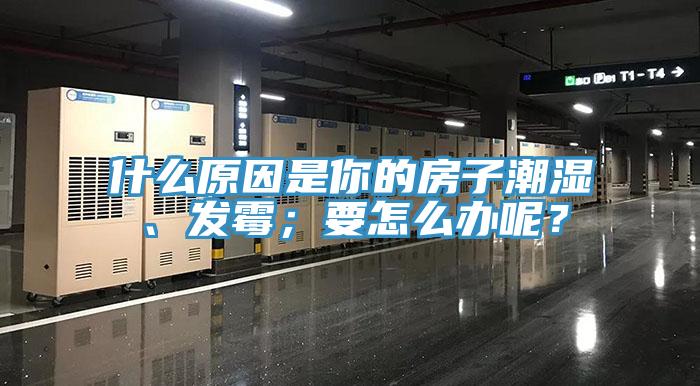 什么原因是你的房子潮濕、發(fā)霉；要怎么辦呢？