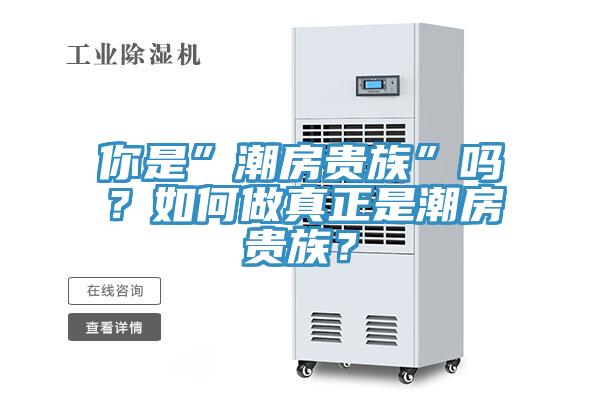 你是”潮房貴族”嗎？如何做真正是潮房貴族？