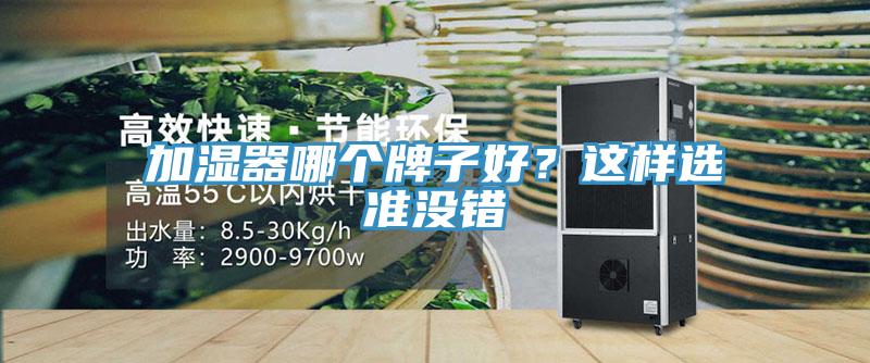 加濕器哪個(gè)牌子好？這樣選準(zhǔn)沒錯(cuò)