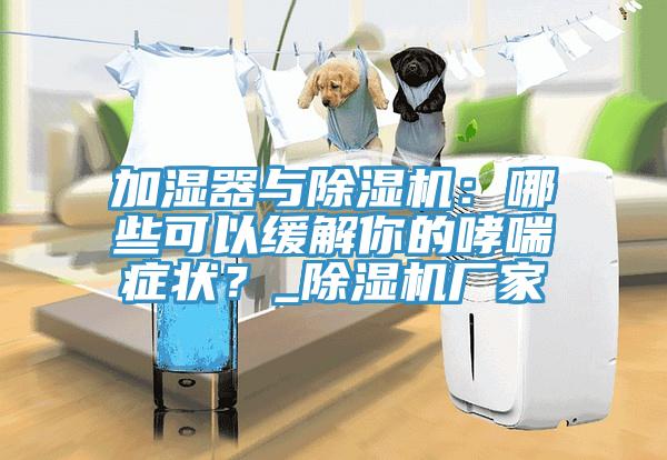 加濕器與除濕機：哪些可以緩解你的哮喘癥狀？_除濕機廠家