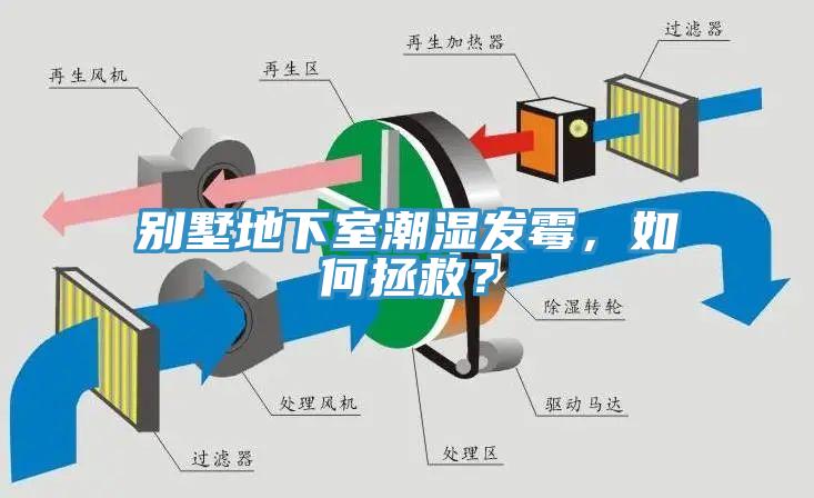別墅地下室潮濕發(fā)霉，如何拯救？