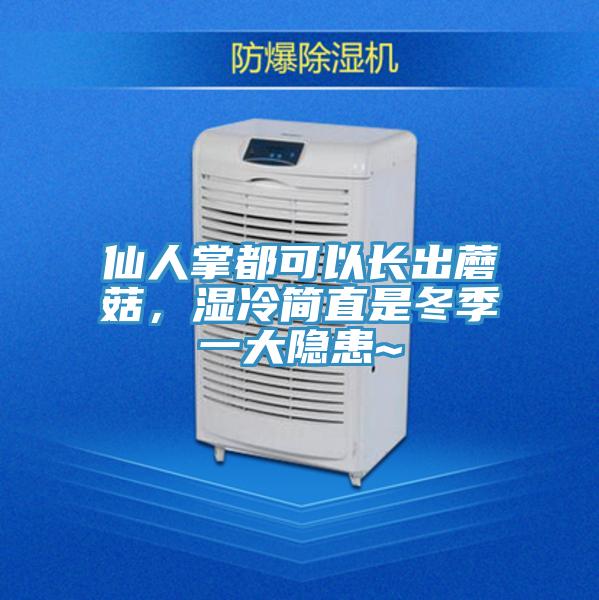 仙人掌都可以長出蘑菇，濕冷簡(jiǎn)直是冬季一大隱患~