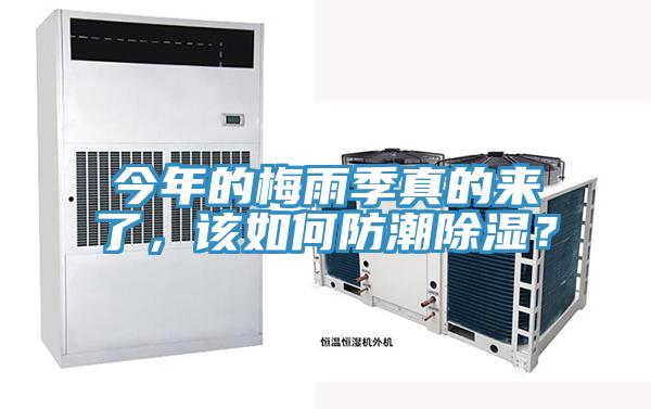 今年的梅雨季真的來了，該如何防潮除濕？
