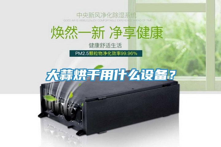 大蒜烘干用什么設(shè)備？