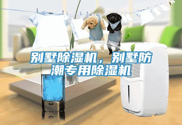 別墅除濕機(jī)，別墅防潮專用除濕機(jī)